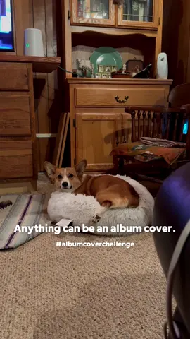 What would the name of Pickles first album be? #corgidogs #corgioftiktok #corgidog #corgipuppy #albumcover #CapaDeAlbum #albumcover #CapaDeAlbum #tiktokpets #dogsofttiktok #doglovers #petlovers #cutedogs 