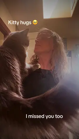 When you’ve been gone for 10 days and you come back to sweet kitty hugs 😻🩷🥹 I missed you too my sweet Josephine!  #catsoftiktok #catsofinstagram #cutecats #cutecatsoftiktok #fyp #cats #josephinethecat #kittyhugs #catlover 