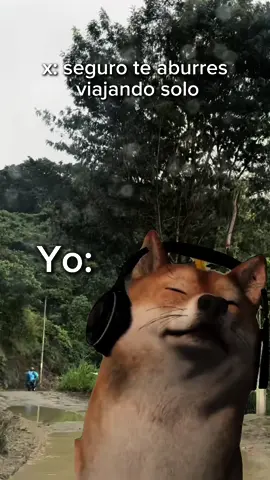 #MemeCut #Meme #huayno #huayno_peruano #mateopalomares #fyp 