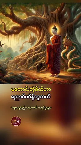 #မကောင်းတဲ့စိတ်ဟာညောင်ပင်နဲ့တူတယ် #သစ္စာရွှေစည်ဆရာတော်အရှင်ဥတ္တမ၏တရားတော် #သစ္စာရွေစည်ဆရာတော် #သစ္စာရွှေစည်ဆရာတော်အရှင်ဥတ္တမ #သစ္စာရွှေစည်ဆရာတော်အရှင်ဥတ္တမ🙏🙏🙏 #ဓမ္မဒါန #fyp #foryou #foryoupage #tiktok2024 #thinkb4youdo 