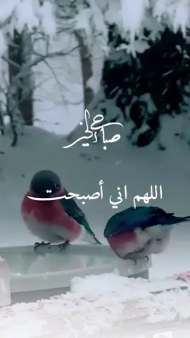 صباح الخير دعاء الصباح