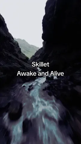 Awake and Alive - #Skillet 