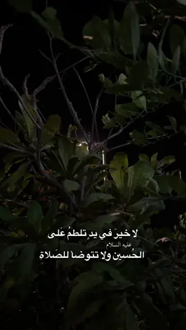 #قصائد_حسينية #محمد_بوجباره #الامام_الحسين_عليه_السلام #محرم #تصويري #fyp #fypシ #foryou 