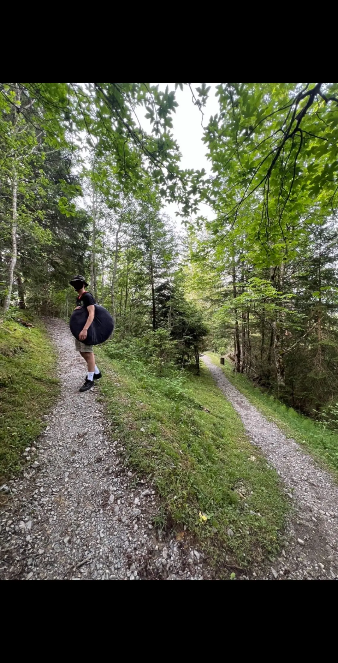 @el mejor #touchsomegrass #hike #nature #swissalp #Summer #outdoor #explore 