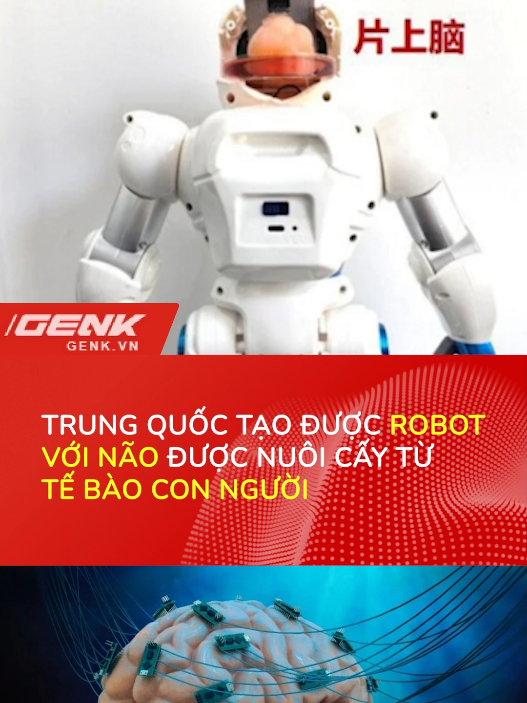 Chả mấy mà robot cũng suy nghĩ được như con người luôn! :O #GenK #robot