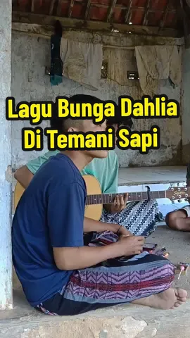 Lagu Bunga Dahlia @zaenmalik886  #bungadahlia #dangdut 