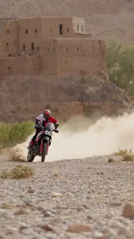Watch the DesertX Rally bike tackle towering dunes fierce challenges. This ride is heating up! Keep watching! 🔥 #Ducati #DesertXRally