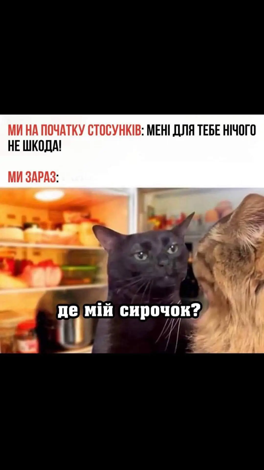 #хорошогонастрою👍❤️😺 #приколи 