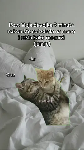 🥲 . . #cat #serbia #relatable #fyp #mačke #bf #couplegoals #gf #couple #meme #Relationship #pov #catsoftiktok 