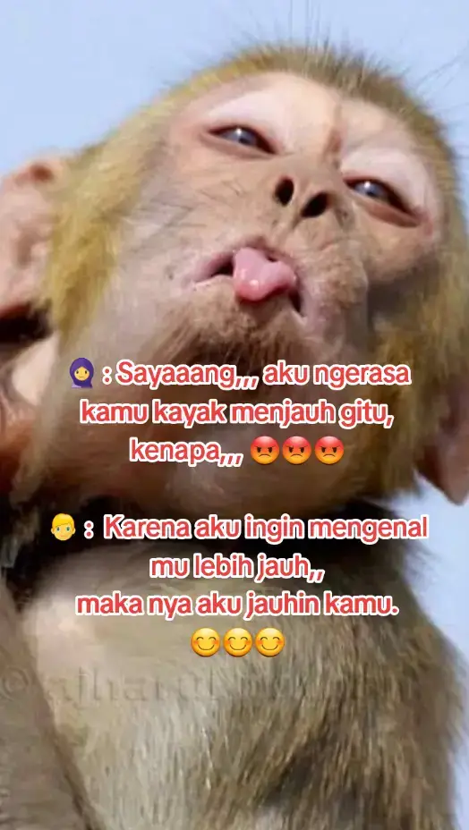 sayang marah  yaa🤭🤭🤭