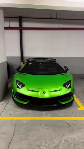 Green alien 🧌 #lamborghini #svjroadster #supercar #edit 