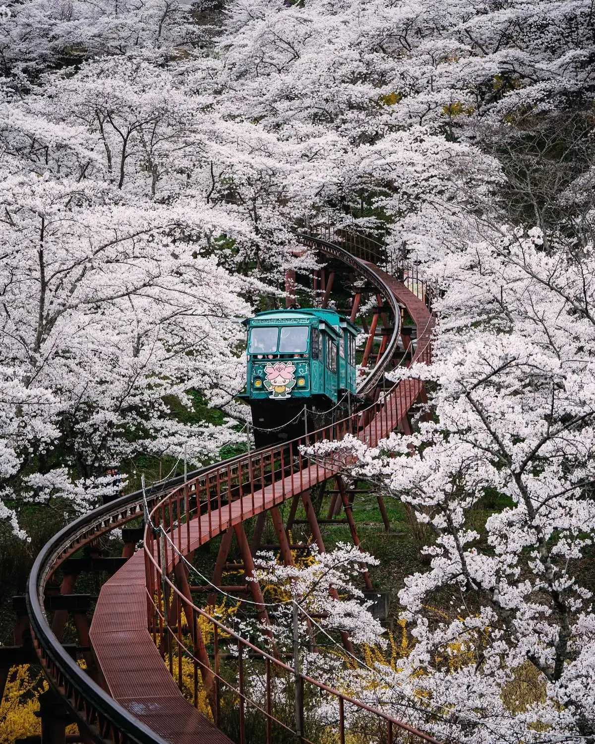 あなたが好きかもしれない写真 日本 #日本語 #japan #japanese #japantrip  #japantiktok #japantravel #日本語勉強中 #東京 #東京リベンジャーズ #tokyo #tiktok #asian 