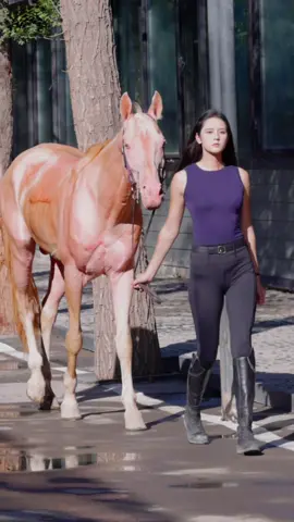 你选哪个？😘❤️#doris #taotaoaima #horseriding #horsevideo #horseride #horserider #horses #horse #funny #funnyvideo 