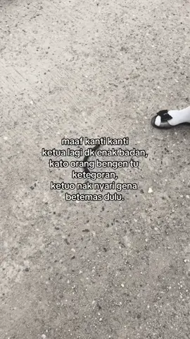 info gena betemas #berandatiktok #berandafypシ #fyppppppppppppppppppppppp #betemas #kunyit #fypシ゚viral #futbol #jambi #jambipride🏴‍☠️ #jambi #jambiviral #jambi_city #jambi24jam #seberangjaya 