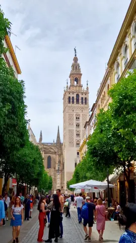 🏛La Giralda, símbolo de Sevilla. #sevilla #andalucia #spain #travel 