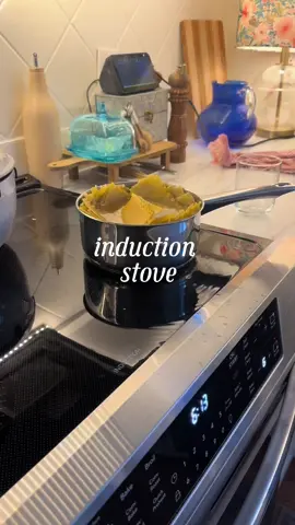 she's the most dramatic being in the house 💅 #inductionstove #newhouse 