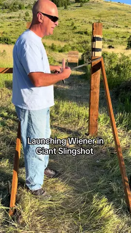 Wiener launched in Giant Slingshot #slingshot #fun #homemade 