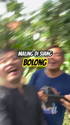 niat nya mau Maling Malah Jatuh !!! #komedi #lucu #dagelan #funny #ketawa 