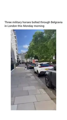 Horses have been gallivanting in London too much lately 😭😭 (via Jack Hanbury) #UB1UB2 #London #Belgravia 