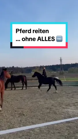Bist du schonmal so geritten? Und wie war es für dich? 🤍 #reiten #reiter #pferde #pferdeliebe #pferdesport 