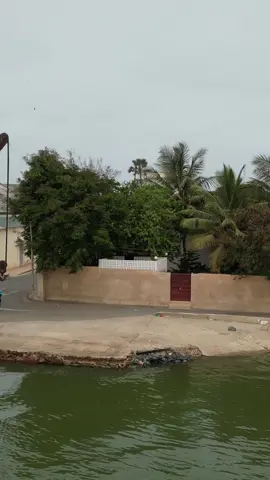 Videos brutes ville ssaint louis senegal #221🇸🇳 