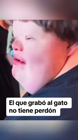 Odio a los gatos . . . . . . . . . #HumorNegro #GatoGracioso #NiñoYGato #RisasOscuras #GatoViral #TikTokHumor #MascotasGraciosas #Risas #GatoCurioso #Viral #HumorNegroTikTok #GatosDeTikTok #HumorDeGato #MomentosDivertidos #VideosGraciosos #GatosAdorables #RisasGarantizadas #HumorIrreverente #TikTokEsDivertido #Gatitos #GatoYNiño #MomentosCómicos #GatoMirando #GatoChistoso #TikTokAnimales