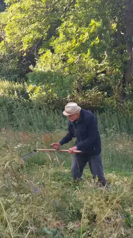 Who needs a lawnmower when you have an old-school scythe? This grandpa is taking it back to basics and showing us how it’s done! Ever tried this method? Tag someone who’d love this! @vladdumitrescu.ro 📸 #fyp #oldschool #lawncare #nostalgia #foryou #viral #funny #trending