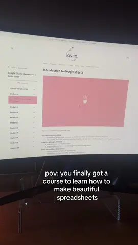 The long-awaited Google Sheets course is now available 🥹 (kitten not included unfortunately) #spreadsheet #googlesheets #spreadsheets #googlesheetstips #googlesheetstutorial #spreadsheetcourse #spreadsheet #google #conditionalformatting #datavalidation #adhd #adhdinwomen 