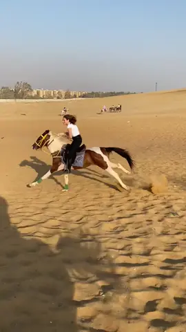 #خيل_وخياله🐎 #monicamagdyy #nazletelsemman #kheil #fypシ 