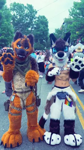 Come celebrate pride with us?🥰 #fursuiter #fursuit #furry #furrytiktok #furryfandom 
