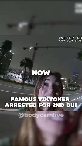 Will pretty privilege work on this officer? Pt. 2 #fyp #cops #police #dui #pretty #famous #prettyprivilege 