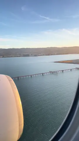 Landing in San Francisco #planelanding #landing #plane #travel #airport #airports #flight 
