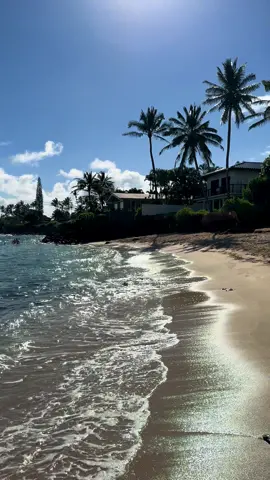 📍Tavares Beach 🏝️ Paia, Maui, Hawaii 🌺 • • • #hawaii #maui #paia #northmaui #northshore #aloha #tropical #island #beach #travel #explore #paradise #vacation #Summer #traveltiktok #mauihawaii #nature #ocean #palmtrees #Outdoors #beachwalker 