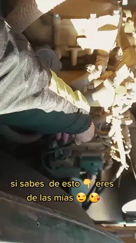 amor por líneas amarillas ❤️🇵🇪⭐🇺🇸