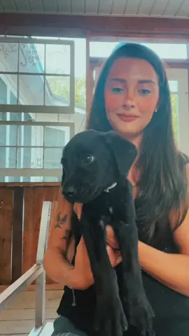 late to the trend but the way he looked at me😭😂 #puppytiktok #puppy #trending #foryoupage #foryou #puppylove #johnnycash 