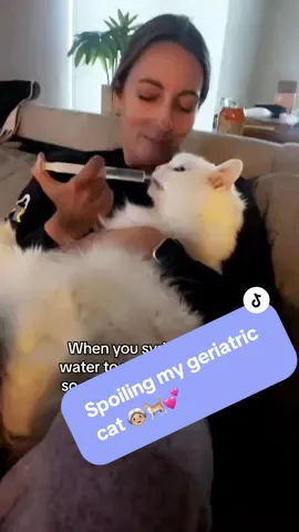 I’d do anything for my old Sophie girl 🐈💞 #catsoftiktok #cat #cats #catlady #seniorcat #socute #viral #fyp