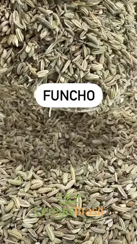 O chá de funcho é conhecido por oferecer vários benefícios para a saúde, tanto para as mães que estão amamentando quanto para mulheres que sofrem com cólicas menstruais. Alguns dos benefícios do chá de funcho incluem: 1. Aumento da produção de leite materno: O chá de funcho tem propriedades galactagogas, que podem ajudar a aumentar a produção de leite materno. Isso ocorre devido aos fitoestrogênios presentes no funcho, que estimulam as glândulas mamárias e promovem a produção de leite. 2. Alívio das cólicas menstruais: O chá de funcho possui propriedades antiespasmódicas e relaxantes musculares, o que pode ajudar a aliviar as cólicas menstruais. Essas propriedades contribuem para relaxar os músculos do útero, reduzindo a intensidade das cólicas e proporcionando alívio durante o período menstrual. 3. Melhora da digestão: O funcho é conhecido por suas propriedades carminativas, que auxiliam na digestão e aliviam problemas digestivos, como gases, inchaço e indigestão. Isso pode ser benéfico para as mães que estão amamentando, pois ajuda a evitar desconfortos digestivos tanto para elas quanto para o bebê. 4. Propriedades antioxidantes: O chá de funcho contém antioxidantes, como flavonoides e fenóis, que ajudam a combater o estresse oxidativo e protegem as células contra danos causados pelos radicais livres. Isso contribui para a saúde geral do corpo e pode ter efeitos positivos na prevenção de doenças. 5. Ação anti-inflamatória: O funcho possui propriedades anti-inflamatórias, que podem ajudar a reduzir a inflamação no corpo. Isso pode ser benéfico para aliviar dores e desconfortos associados a condições inflamatórias, como artrite e cólicas menstruais. Você encontra o funcho em todas as unidades de casa de produtos Naturais 🍃