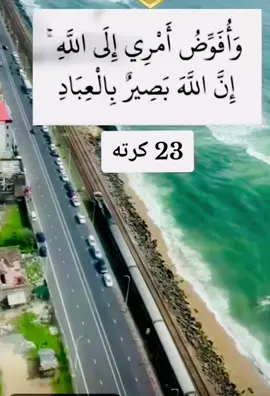 #الله اکبر#سبحان_الله #اللهم_صلي_على_نبينا_محمد #لاالله_الا_الله_محمد_رسول_الله💗 #@𝑸𝒖𝒓𝒂𝒏🎧 @KashiF KhaN @neha wafa  @Young Alajerh ✨💸  @.  @𝑸𝒖𝒓𝒂𝒏🎧 