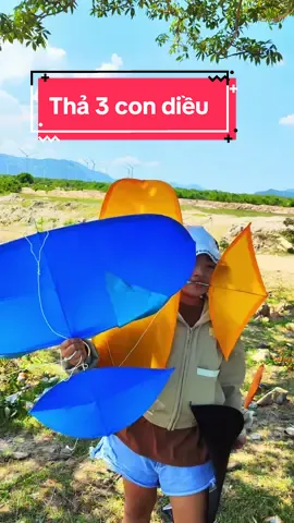 Thả 3 con diều sáo đuôi cá song vân  và mẹ bồng con #dieusaovietnam #lampham #thadieu #dieusao #thadieusao 