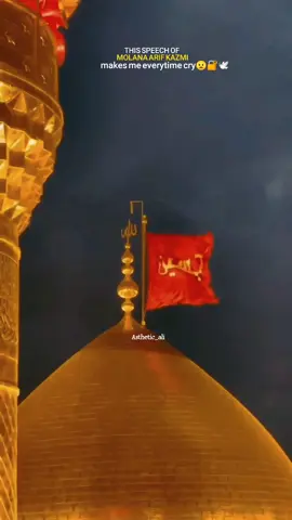 کربلا میں مولا عباسء کا ایک امتحان یہ بھی تھا کہ آپ کو جنگ کی اجازت نہیں ملی😟💔 #yaabbas #karbala #yahussainع #shia #islamic_video #tiktok #trending #foryou #viral @سیدہ سحر کاظمی 🌙 @قلبِ زینب 🌸 @SYED ZARYAB @Syed Farzan Shah 