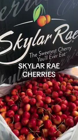 Enjoy the burst of sweetness of our premium Skylar Rae Cherries 🍒  Available for a limited time only‼️ Send us a dm to order! #fruitlootph #skylarrae #cherries #funfacts #fruitdelivery #samedaydeliveryph #skylarraecherries ##fyp ##healthyliving##premiumfruits