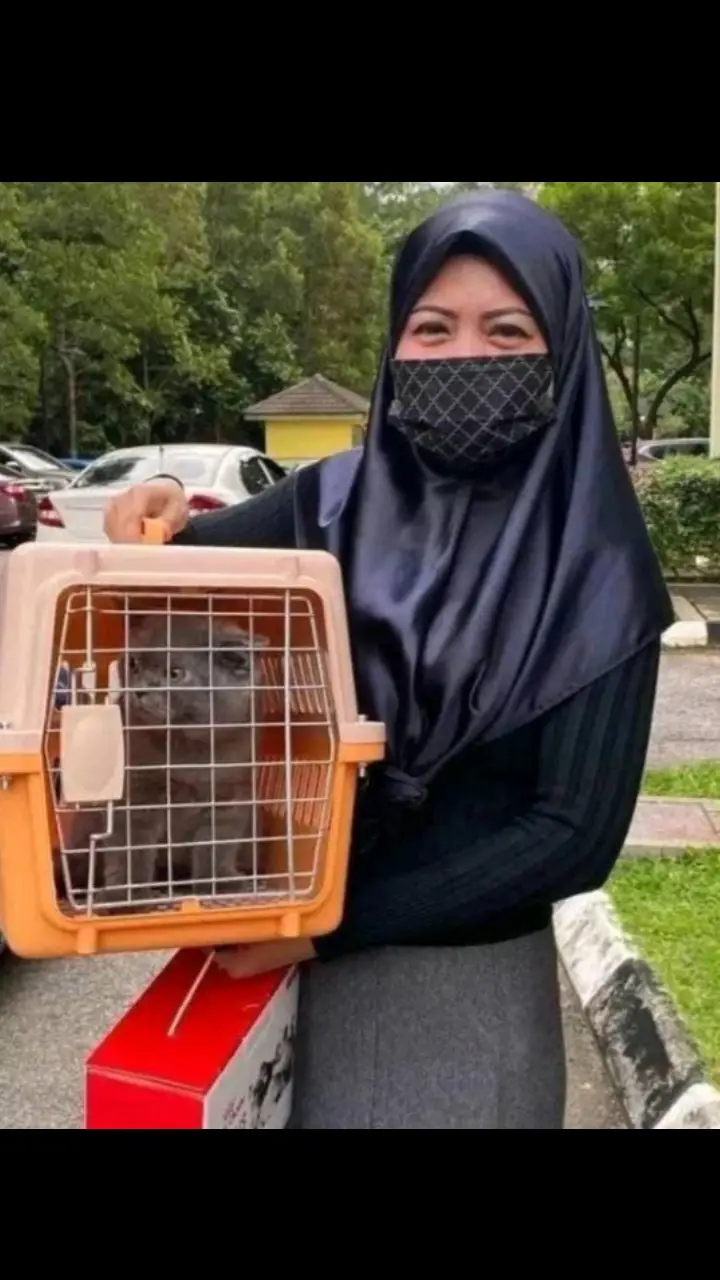 selamat sampai johor,tq sis🙏🙏 #viral #fyp #meow #kucingtiktok #pecintakucing #foryoupage 