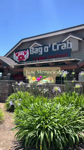 Thank you June! Hello July! Cheers to more memories 🥂 #family #june #memories #familytime #waterpark #Home #shopping #summervacation 