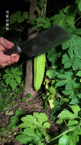 The bitter gourd tea in the mountains is steamed using the ancient method and draws the essence of glutinous rice. It may seem simple, but it is quite exquisite!#Cuisine #Traditional