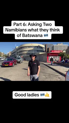What do you think? #namibians #batswana #fyyyp #digitalnomad #Tiktokbotswana #viral 🇳🇦🇧🇼