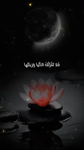 فَلا تَغُرَّنَّكَ الدُّنْيا وَزِينَتُها #لا_اله_الا_الله #محمد_رسول_الله #اناشيد_بدون_موسيقى #فلا_تغرنك_الدنيا_وزينتها #ليس_الغريب_غريب_الشام_واليمن #خذ_القناعه_من_دنياك_وارضى_بها #CapCut 