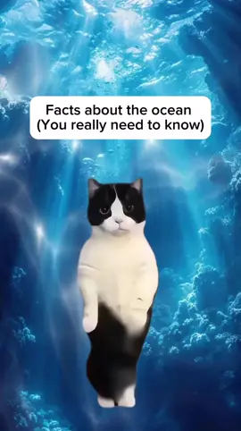 Facts about the ocean, you really need to know #fyp #history #historynerd #historylovers #worldhistory #ancienthistory 