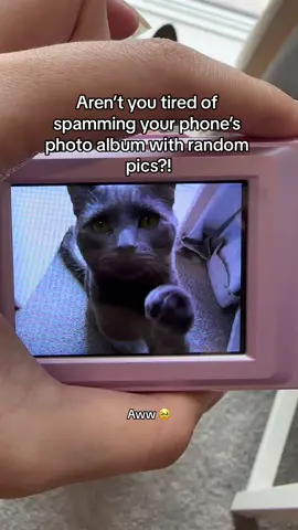 How is this camera less than £30?! Such good quality!! Up to 44MP!! #tiktokmademebuyit #spotlight #fyp #spotlightfinds #summersale #camera #cats #funnyanimals 