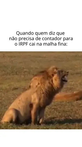 Aquele momento que o contador fala: 'eu avisei'. . . . . . #receitafederal #meme #irpf #irpf2024 #impostoderenda #humor #humorcontabil #memecontabil #contabilidade  #contador #contadora #contabil #contabilizar #contabilidadeporamor 
