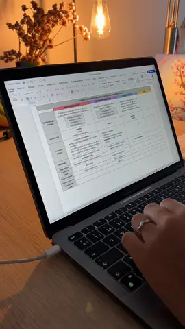 I’m a charts girly. #studywithme #studytok #timelapse #laptop #medicina 